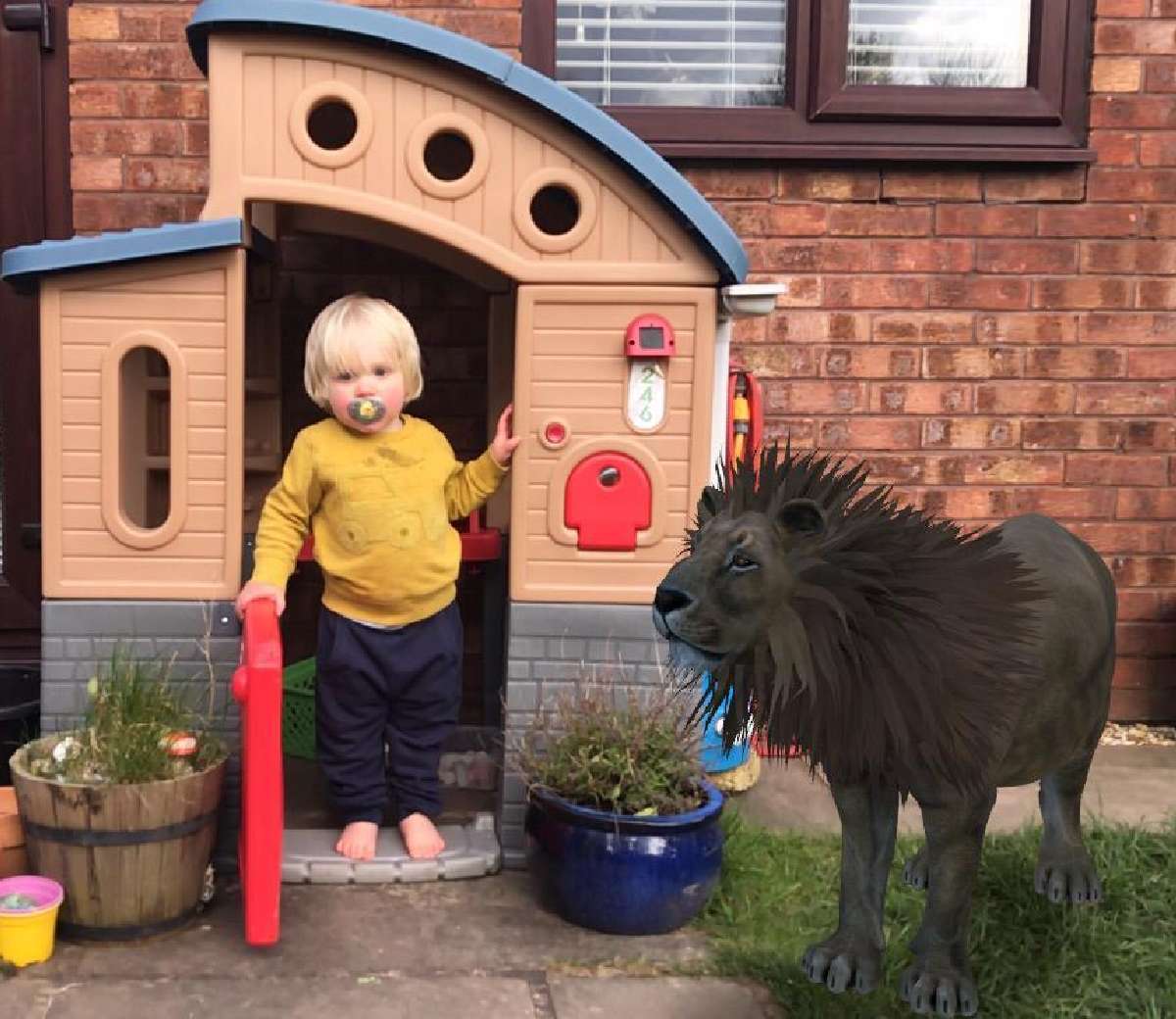 Hours of fun: Meet Google’s 3D animals - Official Little Tikes